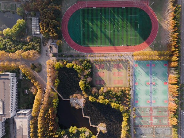 Où acheter des chaussures de sport de qualité à un prix raisonnable ?